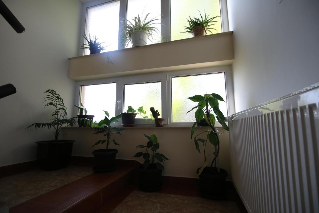 Hostel Teresianum Aleksinac Ngoại thất bức ảnh